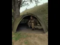 Download Lagu De enorme voordelen van een Trakker Oval Bed System ten opzichte van een normaal bed in je Tempest!