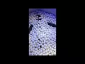 Cashmere Cat, Major Lazer, Tory Lanez - Miss You (Vertical Video)