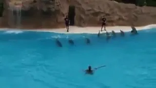 كل عام وانتم بخير يا غوالي اغنية رقت عينان شوقن 