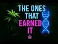 Episode 5 - Phenohunt Masterclass The Ones That Earned It Step by Step