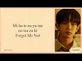 Download Lagu ENHYPEN 'FORGET ME NOT' EASY LYRICS