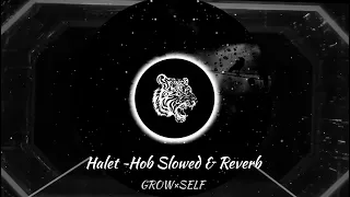 Halet Hob Urdu Subtitles English Subtitles حالة حب Official Version Reverb 