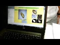 Grading of mango to mangoes plantation using image processing