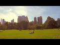 [Playlist] 나른한 오후에 듣는 그루비 알앤비 R&B 플레이리스트🌲