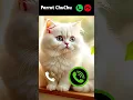 Download Lagu cat calling 😎 #ringtone #smartphone #music #ringtones #song #cat #ringintone #funny