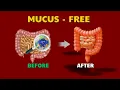 Arnold Ehret s Secret The Mucusless Diet Explained