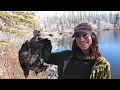 24 Hours Camping Hunting Exploring a Remote Volcano in Alaska