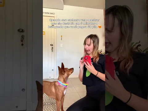 O TALENTO DA MINHA CACHORRINHA 🤭🐕✨ #humor #meme