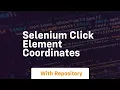 selenium click element coordinates