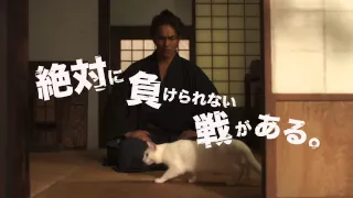 ドラマ「猫侍」番宣スポット②~負けられない戦い編
