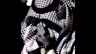 شيله علي الحرام ان ذمتي ذمه 