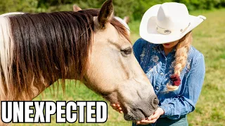 One Of The Horses Will Be Leaving The Farm…