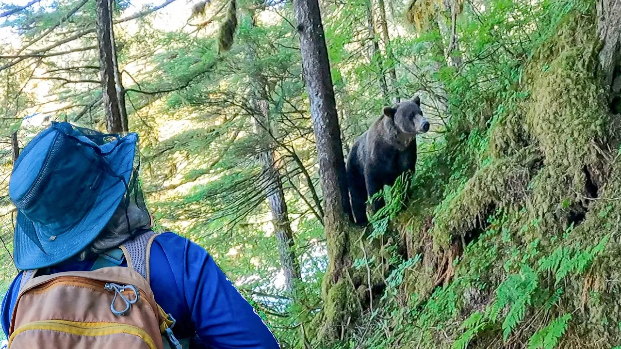 BEAR APPROACHED AND I FEARED FOR HER LIFE   Salmon Fishing Alaska