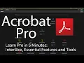 2024 in 5 Mins Overview for Beginners Refreshers