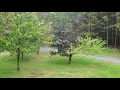 Rain in Baudette