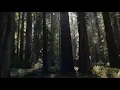 I Talked To The Trees (Paint Your Wagon)