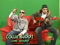 Collie Buddz  - Come Around Live on Riddim Up On The Green S