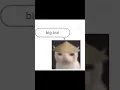 Download Lagu Chinese ringtone be like #memes #random #shorts