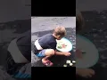 Download Lagu Tradisi Mebanten Saiban atau Yadnya Sesa Selesai Masak di Bali #shorts