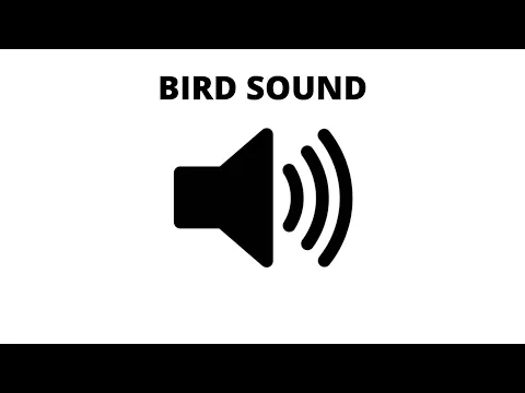 Download MP3 Sweet Bird Sound - Morning Sound Effect  Garden Bird