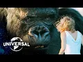 Download Lagu King Kong | Climbing Up (and Falling from) the Empire State Building