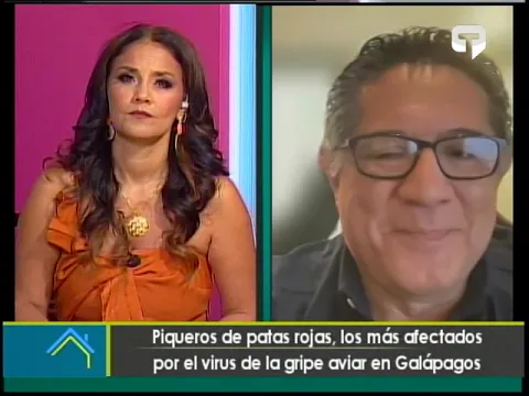 Piqueros de patas rojas, los más afectados por el virus de la gripe aviar en Galápagos