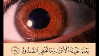 يعلم خائنة الأعين وما تخفي الصدور غافر ١٩ 