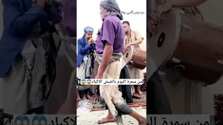 من سمرة اليوم باتفيش الاكباد مزمار شعبي هاجس مراد نوفل الكسار 