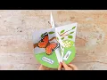 3D Butterfly Life Cycle Paper Craft