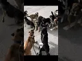 Dog Protection ๐