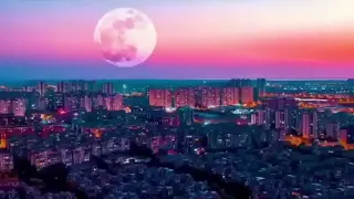 راي الخاتر دارتها لادونيسوس وقلب حساس رماني   دندنها