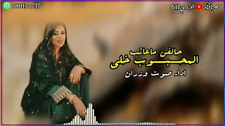 حالفن ماعاتب المحبوب خلي   اداء صوت وزران   جديد      حصريا  دندنها