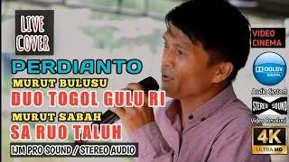 Download LAGU MURUT BULUSU DUO TOGOL GULU RI / MURUT SABAH SA RUO TALUH / COVER PERDIANTO MP3