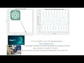 ChatGPT MATLAB Showcase Mesmerizing Pendulum Motion Displacement Simulation
