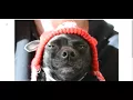 PHP Creating a Thumbnail
