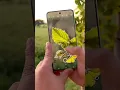 Download Lagu Best HD Camera App with Zoom for Cinematic Photos!