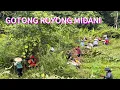 Download Lagu I Nya Mengikuti Gotong Royong Midani Di SK Nanga Tada🥰