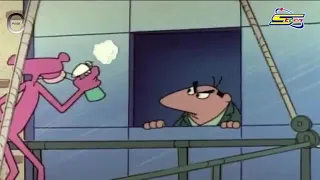 النمر الوردي بعد قليل على كوميديا 