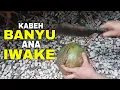 Download Lagu Het verhaal van Sheikh Jangkung: Is het waar dat Saridin studeerde aan Sunan Kudus? #3
