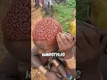 African Tribe Haircut