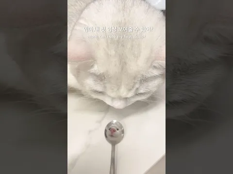 배또복🩶
