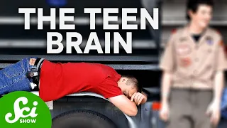 How Teenagers Brains Are Actually Wired Differently