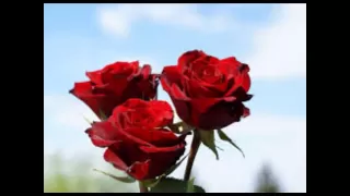 علاء سلام بقى ده اسمه كلام 1994 