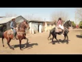 Alejandra Rojas El Toro Viejo 1080