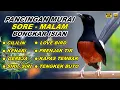 Download Lagu 🔴 LIVE 17 - Pancingan Murai Batu Pagi Hari Full Isian Tembakan Kasar Murai Lain Pasti Emosi
