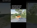 I made a dog with procedural generation
