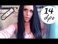 14 DPO Live Pregnancy Tests HCG Blood Test