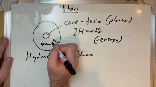 d1 nature of stars