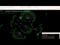d3 hierarchical layout transitions