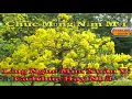Download Lagu Lắng Nghe Mùa Xuân Về - Bùi Anh Tuấn - Nhạc Xuân Hay Nhất